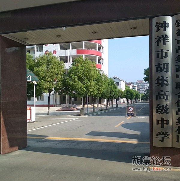 胡集高级中学